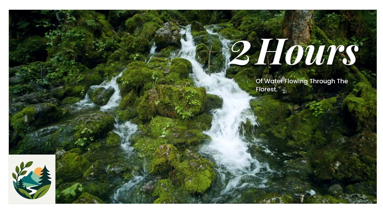 Tranquil Water Ambience | Deep Sleep, Mindfulness Meditation or Productivity Boost (2 Hours)