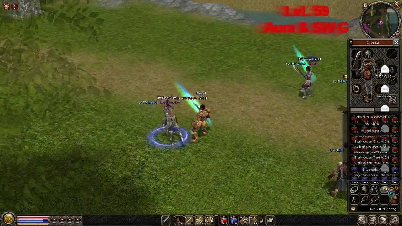 Metin2.DE Str33t LvL 42 Aura P PvP - Video