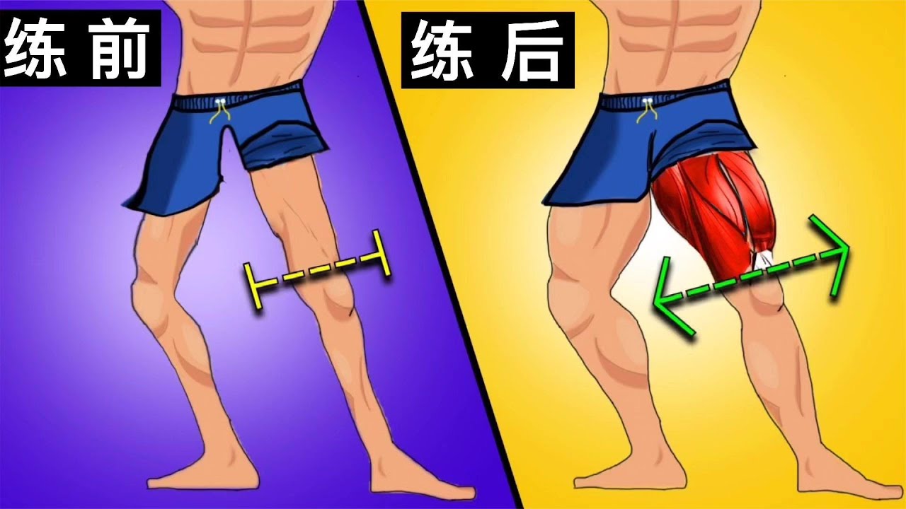 6个动作强壮大腿，提升腿部力量【运动健身知识】