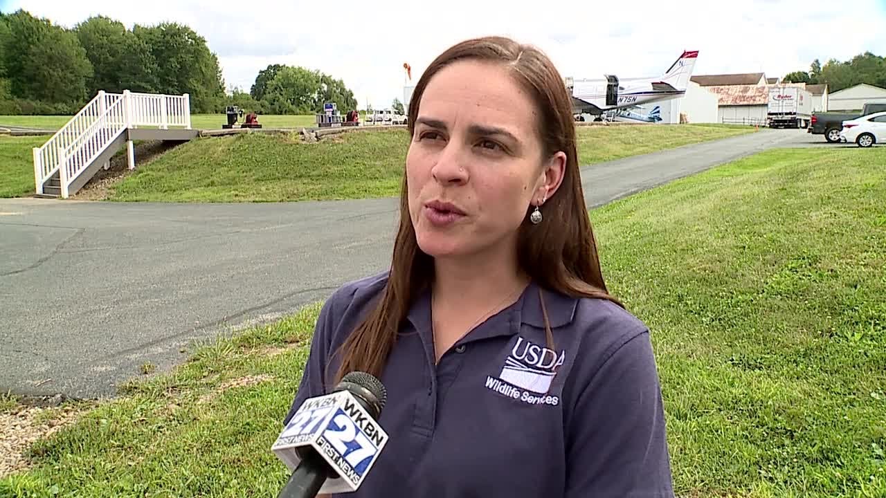 Full Interview: Jordona Kirby, Rabies Field Coordinator of USDA's National Rabies Management Program