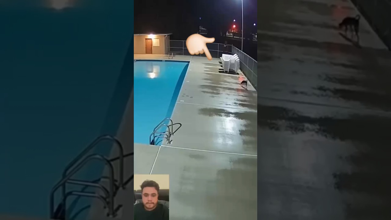 Real ghost capture in camera 😳 