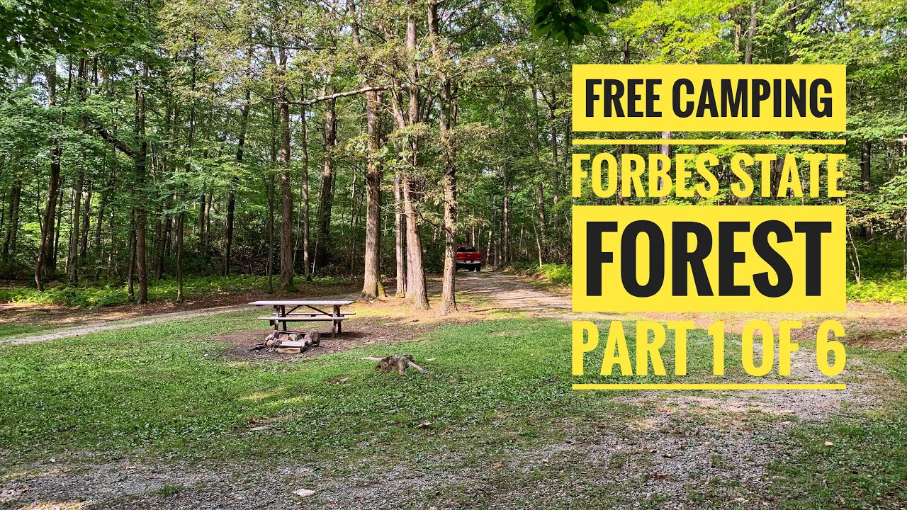 Free Camping at Forbes State Forest in PA, Part 1 of 6