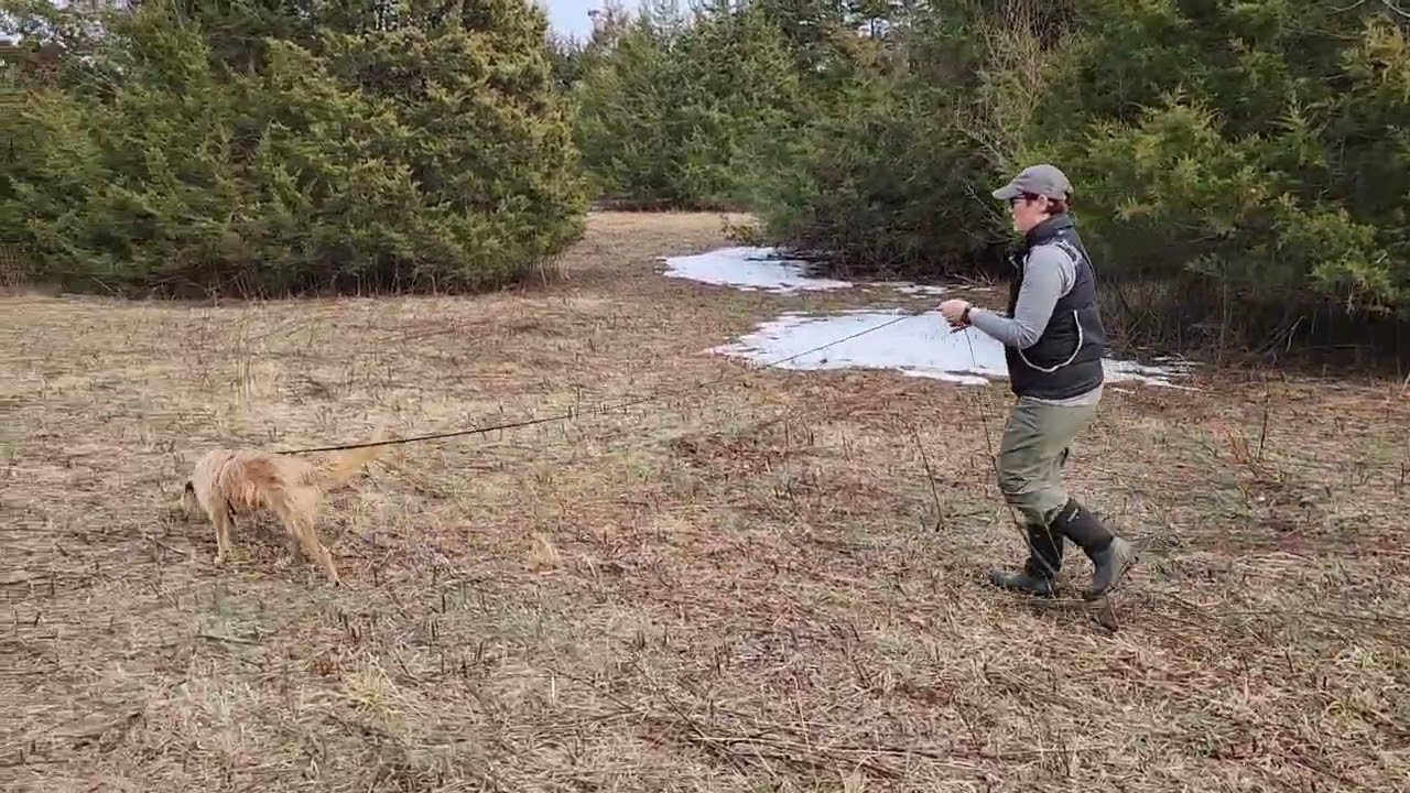 Feb 17, 2026 - 300 yard track with bunny distraction