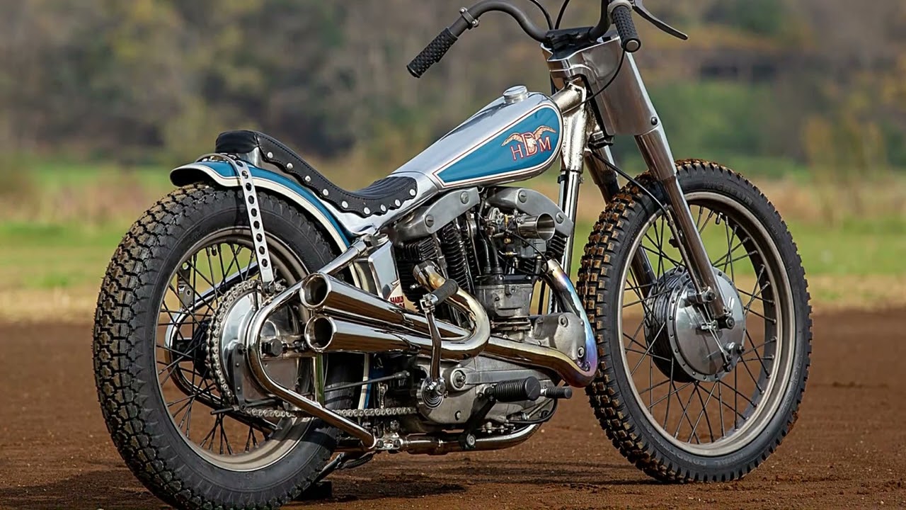 Hide Motorcycle's Custom Harley Sportster: A Fusion of Bobber and Tracker Aesthetics