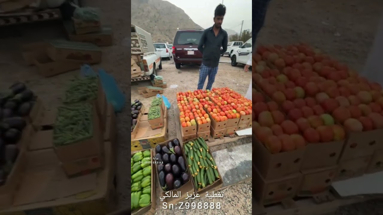 تغطية سوق الخميس الشعبي بصيادة بني مالك ليوم الخميس ١٠ ذو القعدة ١٤٤٦هـ الموافق ٨ مايو ٢٠٢٥م