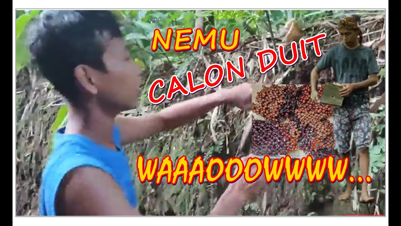 REJEKI DARI DALAM TANAH