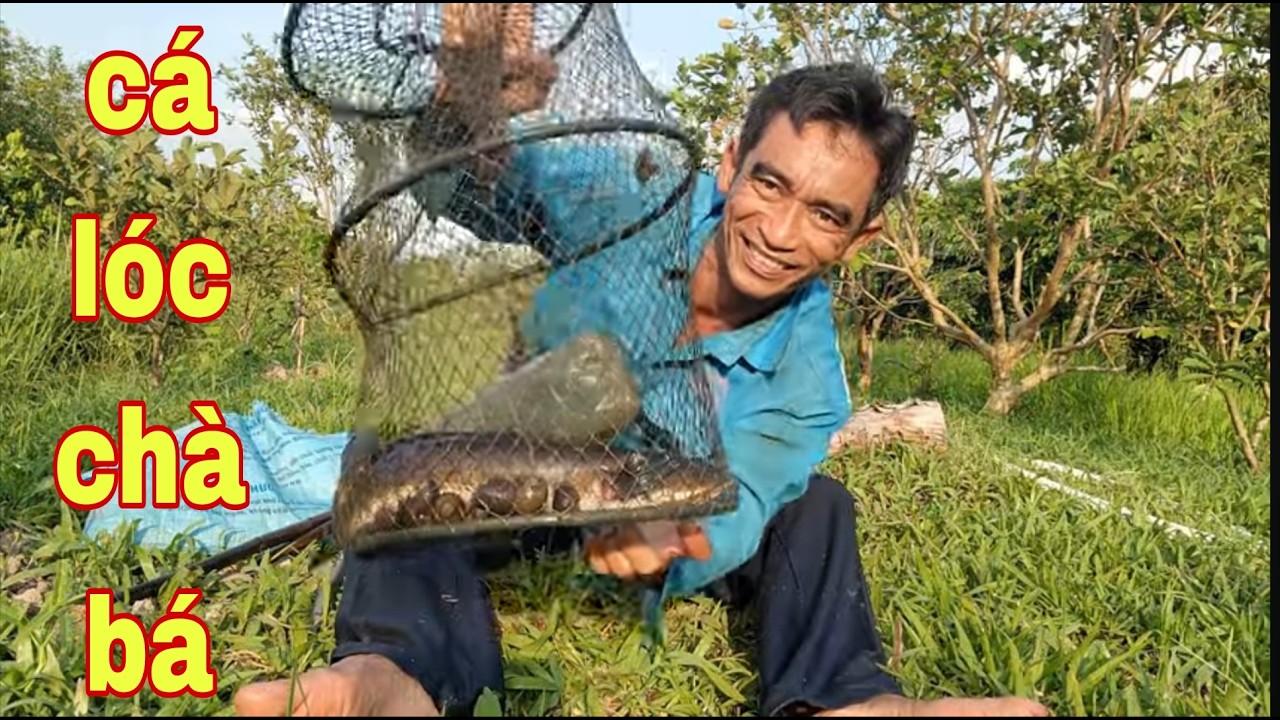 Thu Phục Con Cá Lóc Khủng Nó Quậy Muốn Banh Cái Lờ Luôn Trời # SĂN BẮT ĐỒNG THÁP #