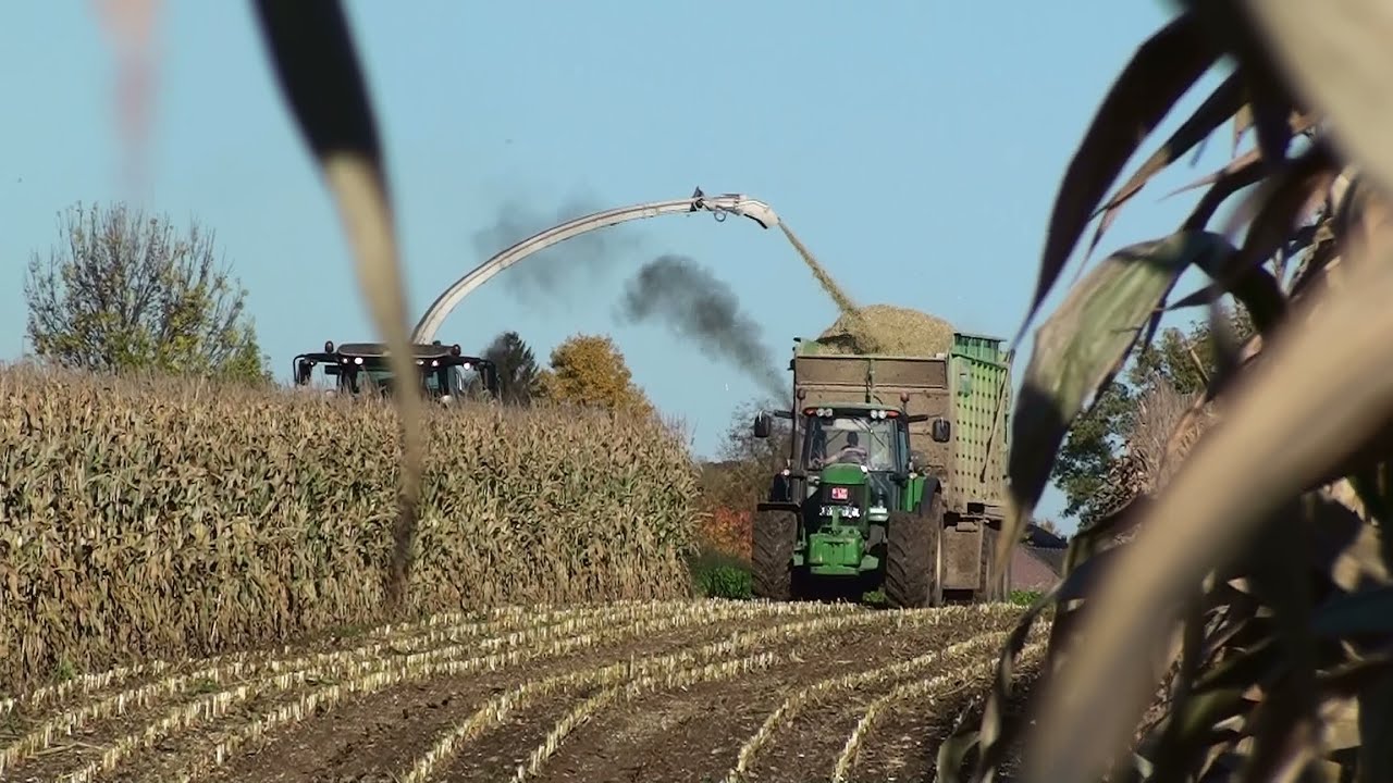 Mais Hakselen 2015 : Egide London , Claas Jaguar 980, John Deere 8370R , Noorbeek