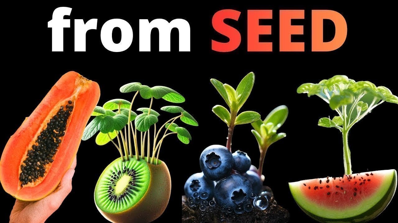 I Grew 12 Plants From Seed to Make this TIMELAPSE Compilation!
