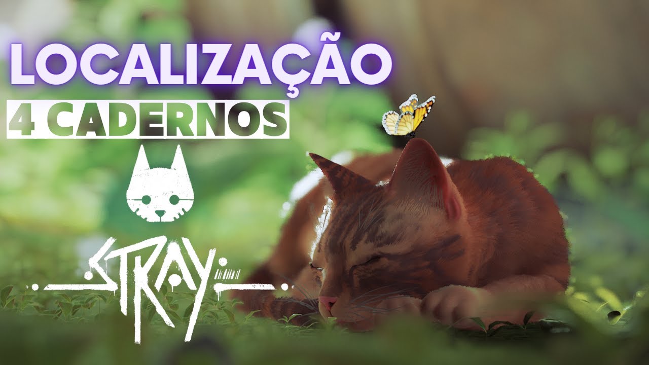 STRAY LOCALIZAÇÃO DOS 4 CADERNOS NA FAVELA