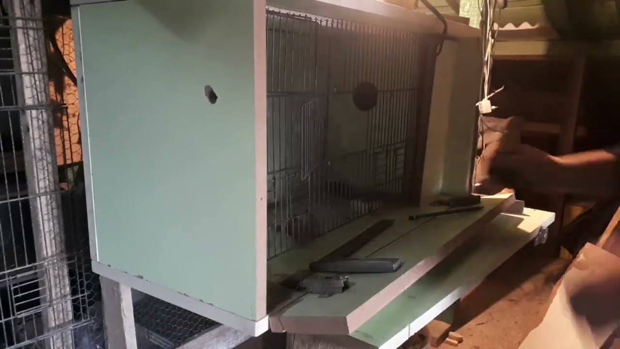 Muhabbet kuşu üretim kafes yapımı /Tahta kuş kafes yapımı /ultra büyük mdf üretim kafesi