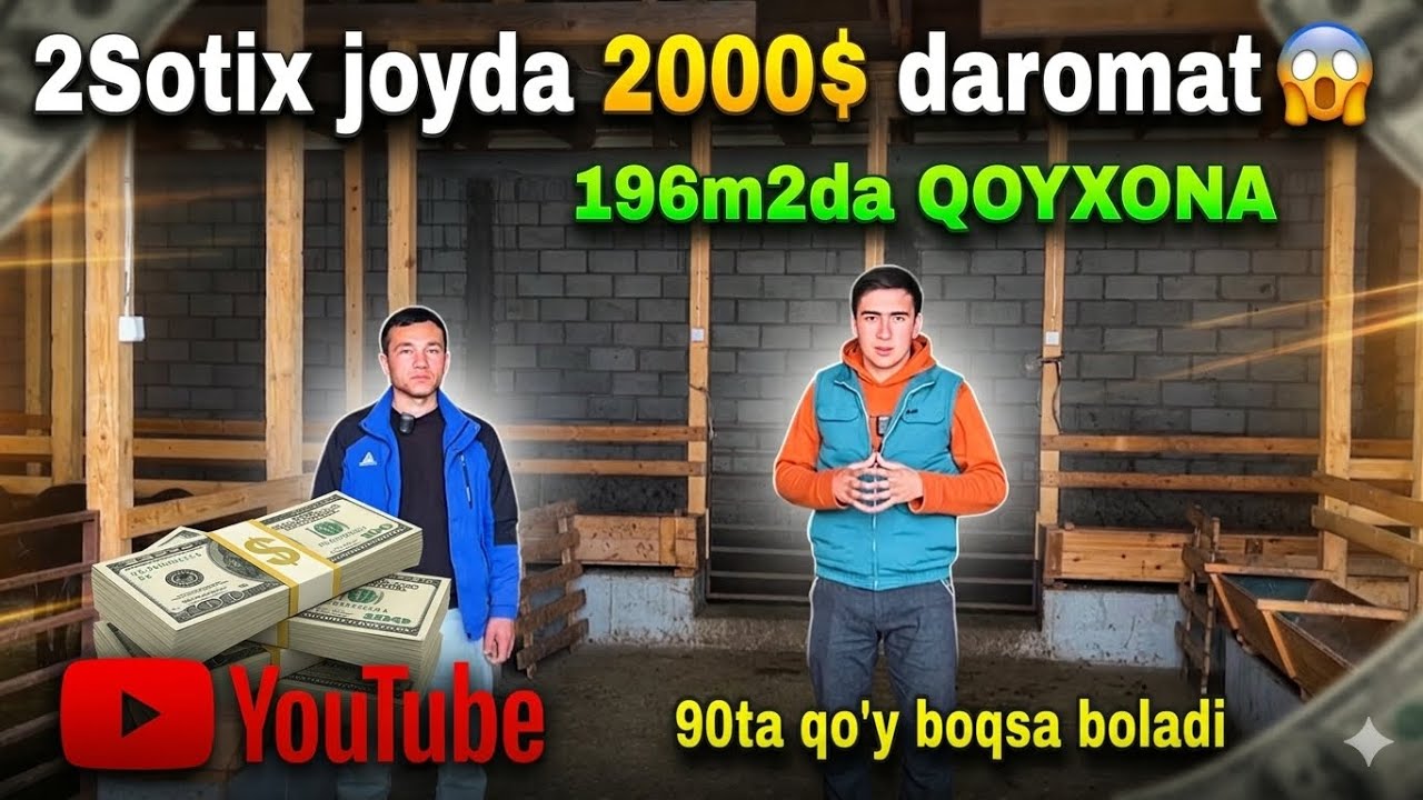 💰 196m&sup2; QOYXONA &ndash; 90ta qo&lsquo;y bilan $2000 daromad SIRLARI OCHILDI!