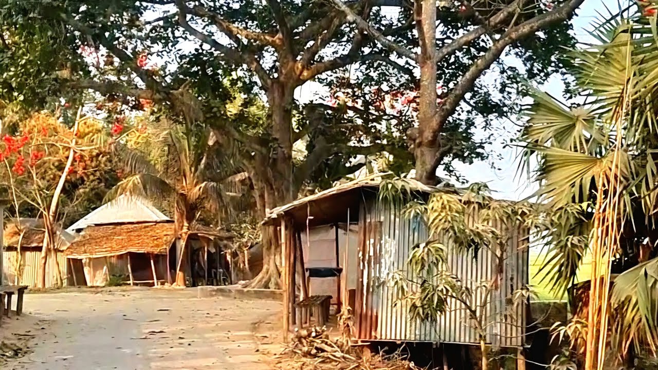 শান্ত স্নিগ্ধ মেঠো পথের এক টুকরো স্নিগ্ধ বিকেল। ​#KadirparaVillage #VillageVlog #BangladeshNature