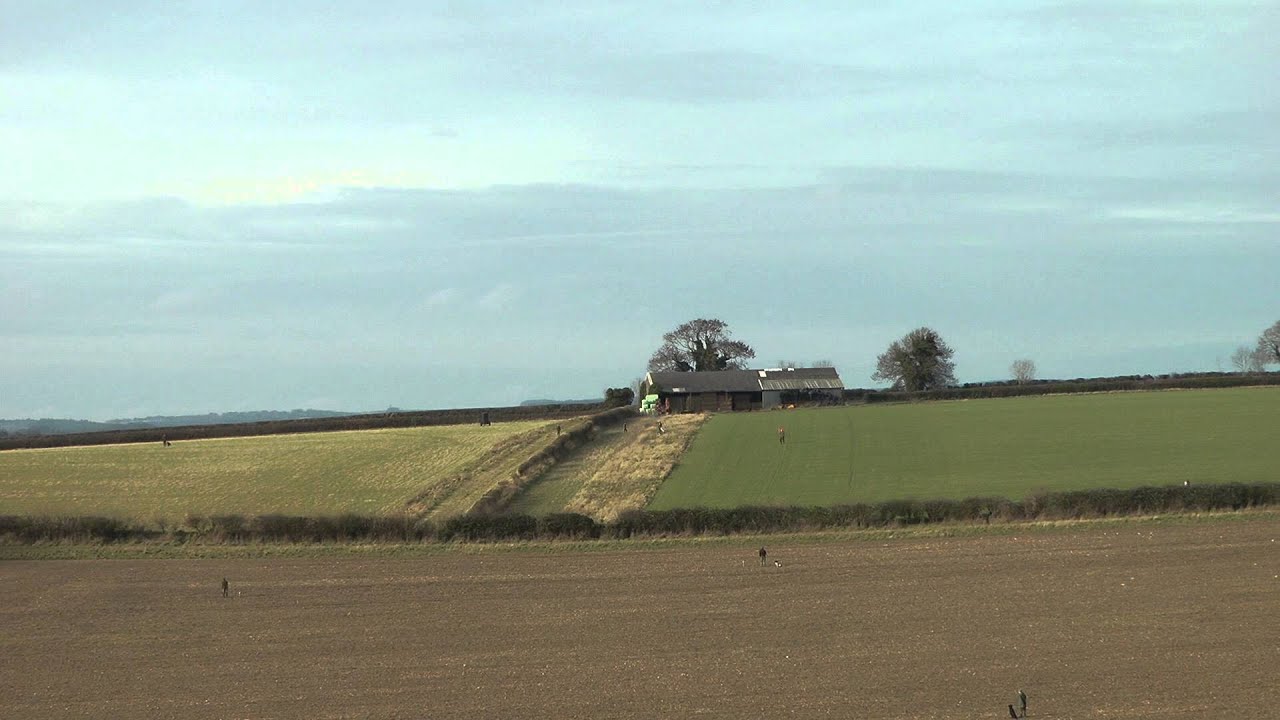 Pheasant Shooting''The Village Shoot Beaters Day''