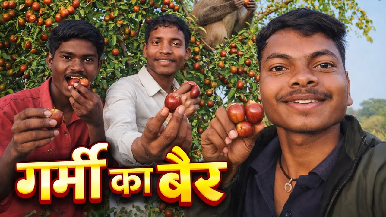गर्मी का बैर 🍒 | बंदर से पहले कौन खाएगा? 😜Bair Hunting in Summer 😎 | Monkey Reaction Must Watch 🐒🔥