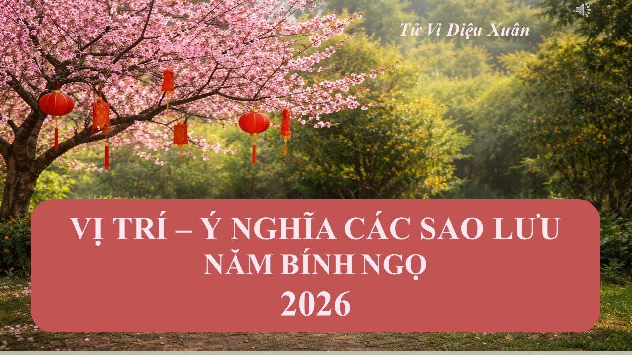 VỊ TRÍ – Ý NGHĨA CÁC SAO LƯU  năm 2026  - BÍNH NGỌ
