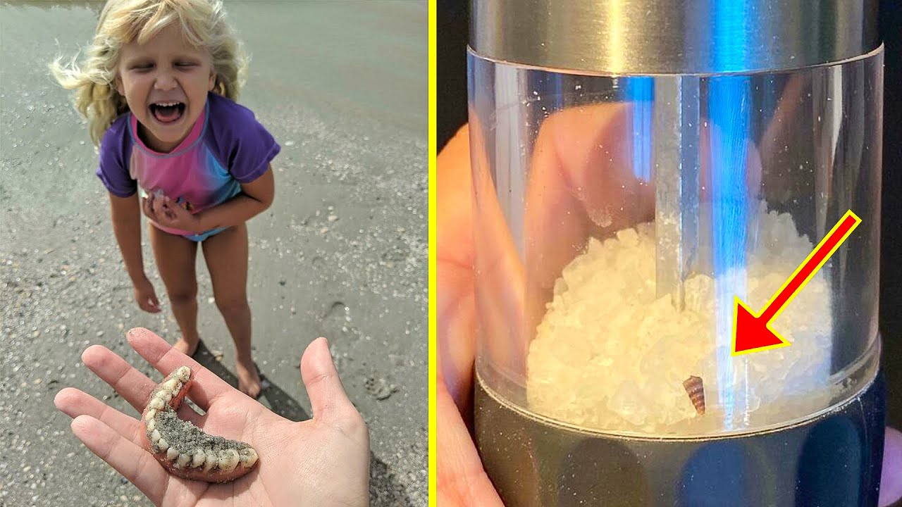 People Found The Most Unexpected Things