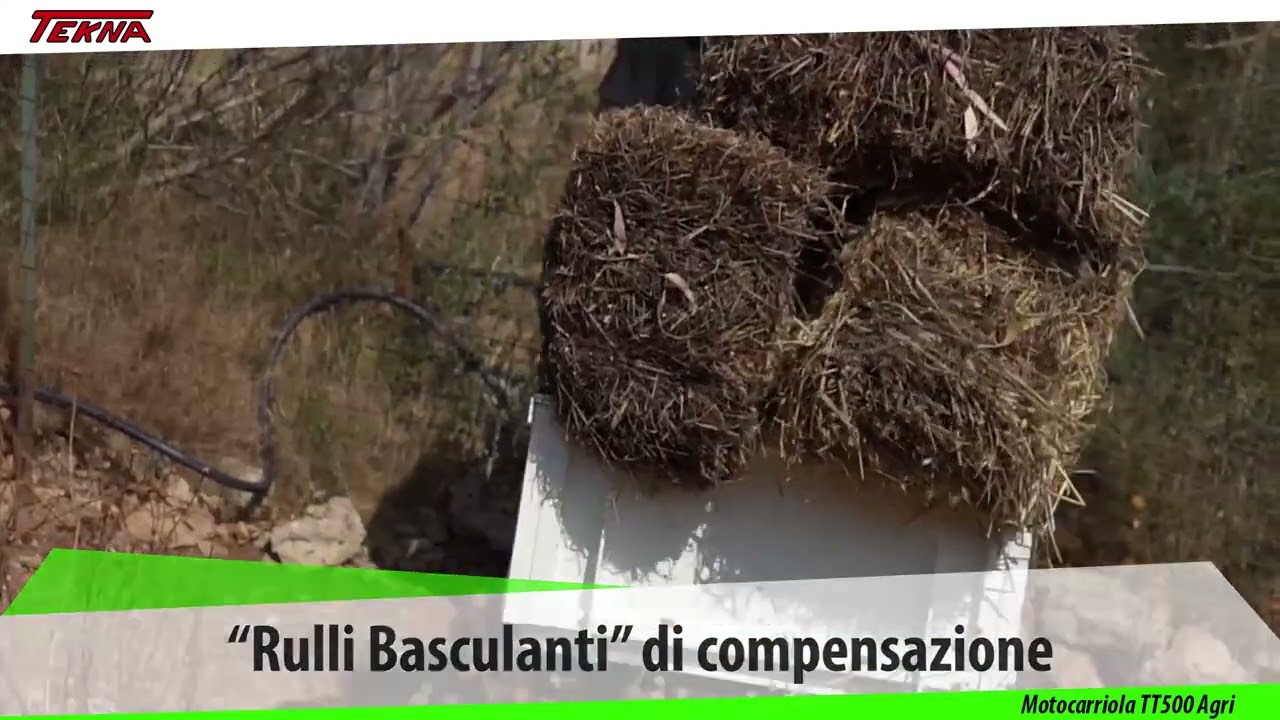 Motocarriola Cingolata Professionale Tekna 500 Agri: La Soluzione Ideale per Ogni Terreno
