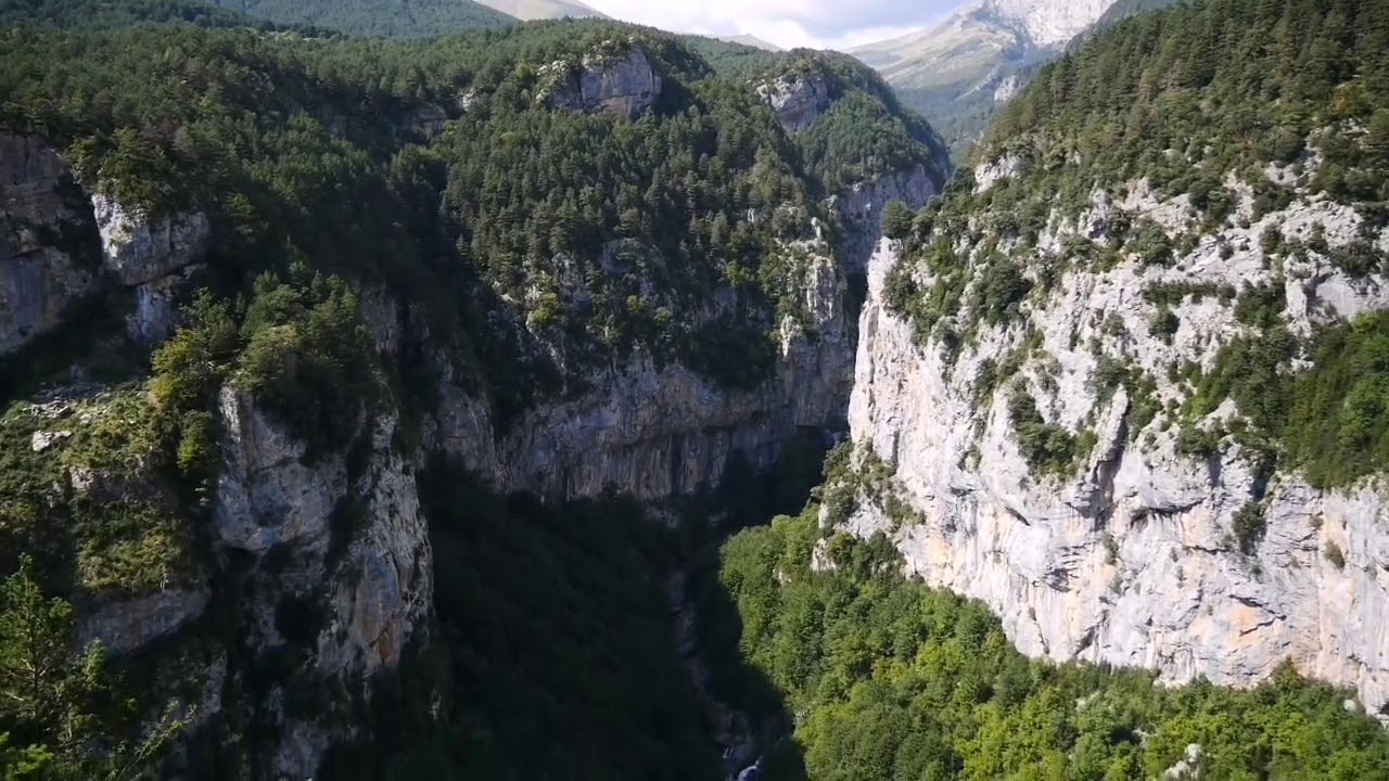 Vale gier in de Spaanse Pyrenee&euml;n (vanaf de tweede helft)