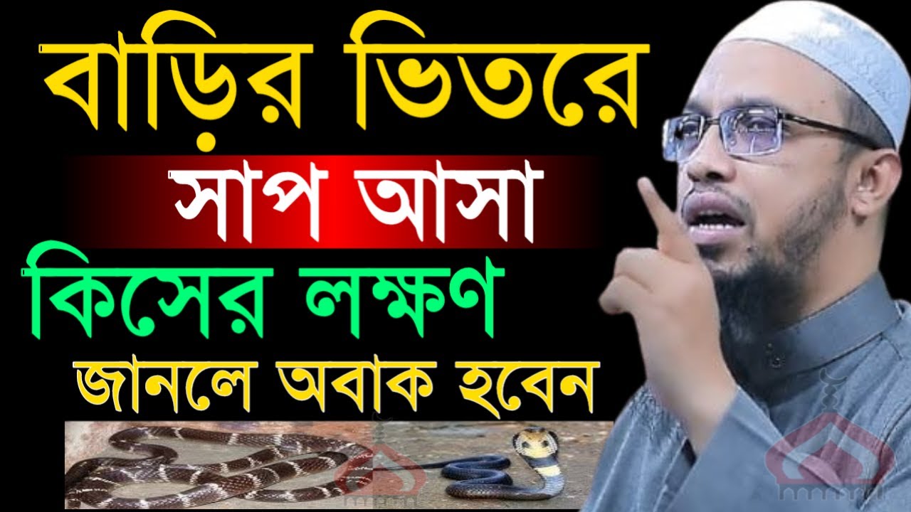 বাড়ির ভিতরে সা প আসলে কি হয় জানলে অবাক হবেন ! Shaikh Ahmadullah Mar 6, 2026 সক৫৪৭৮টপড 5:45 PM