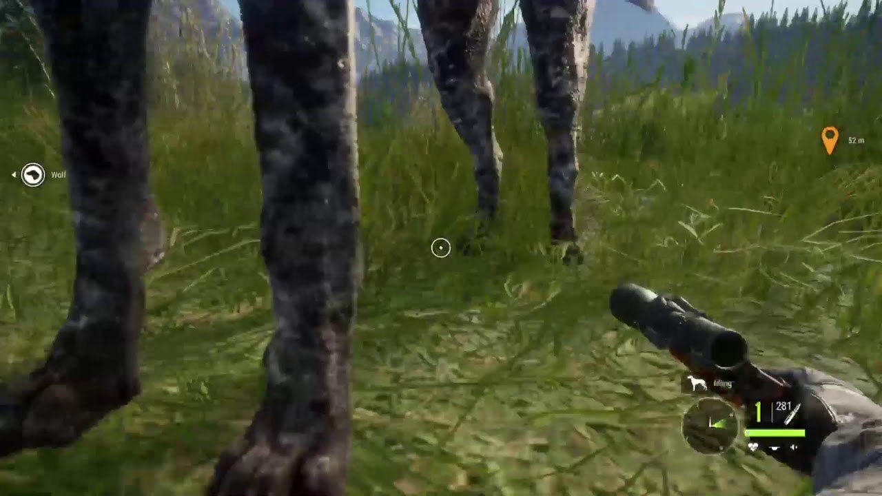 Hunter call of wild