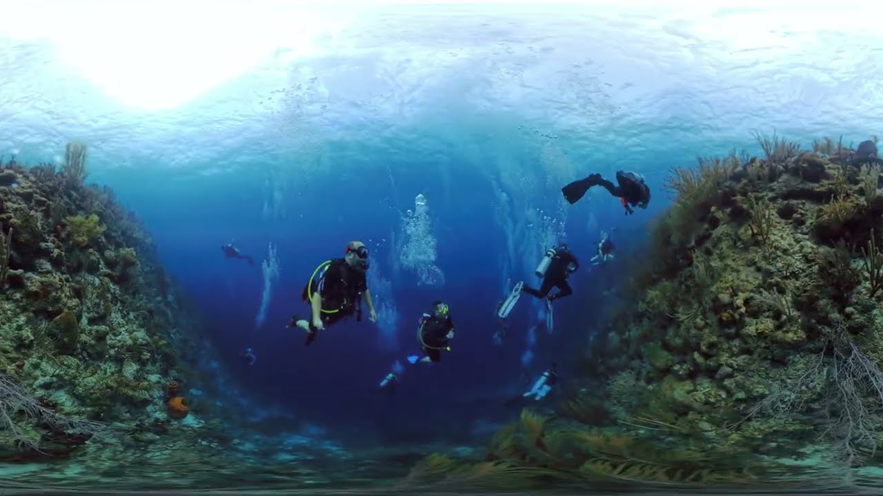 DD7 Curacao 2/23/26 Dive 2 - Beacon Point
