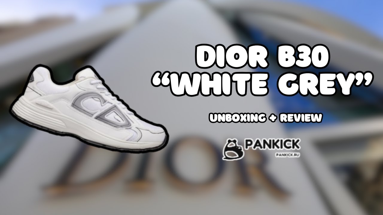 DIOR B30 