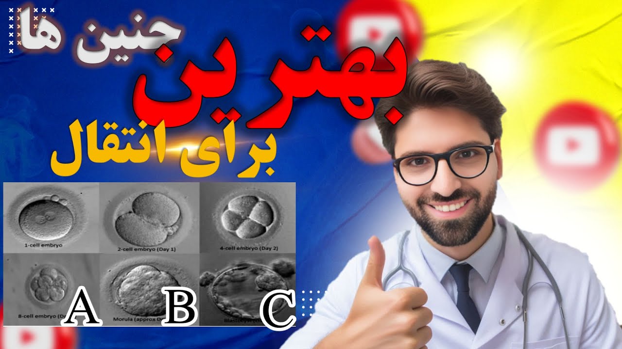 کدام جنین ها بهترین کیفیت را دارند؟