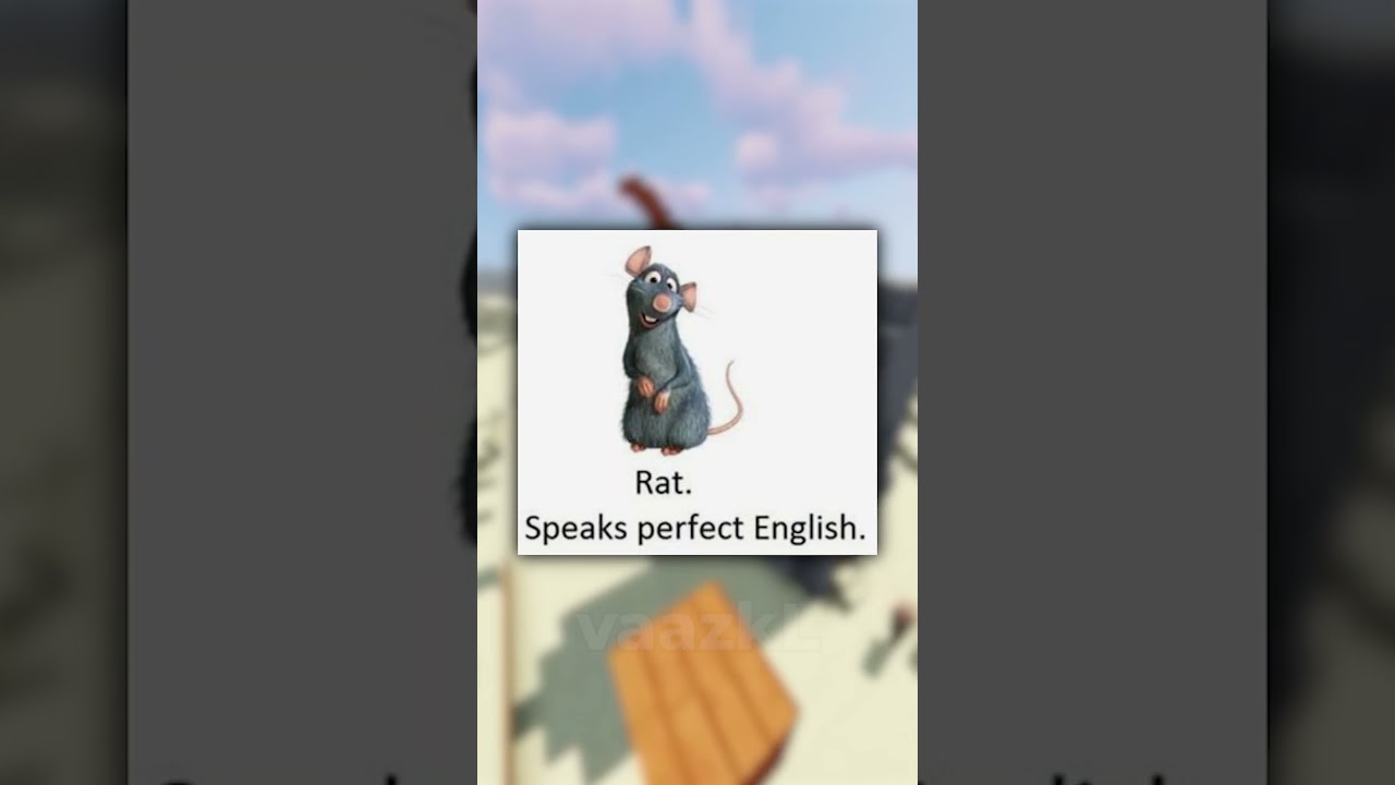 Disney Memes