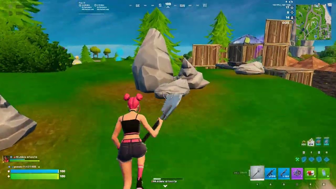 Fortnite rank