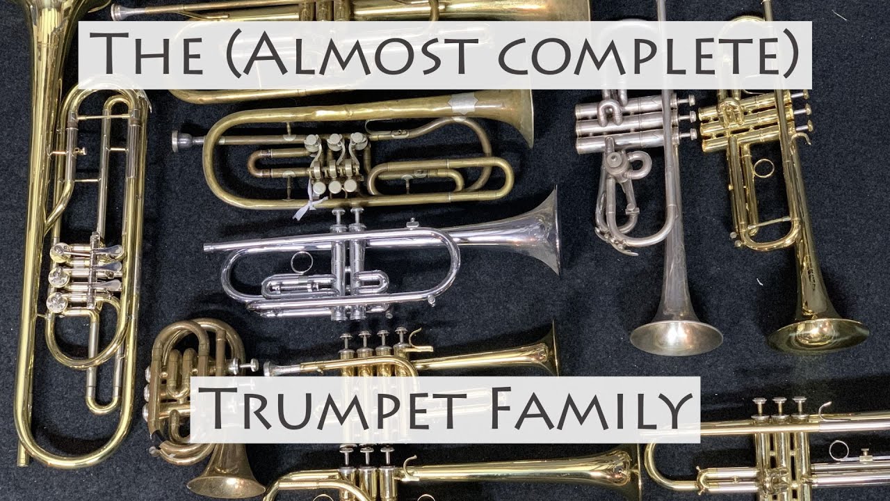 The (almost complete) Trumpet Family