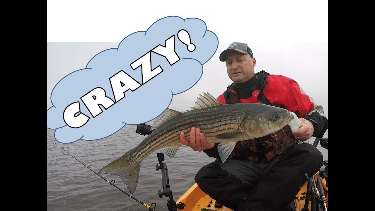 Striped Bass Fishing In The Fog