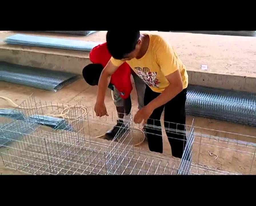 A layer cage assemble video