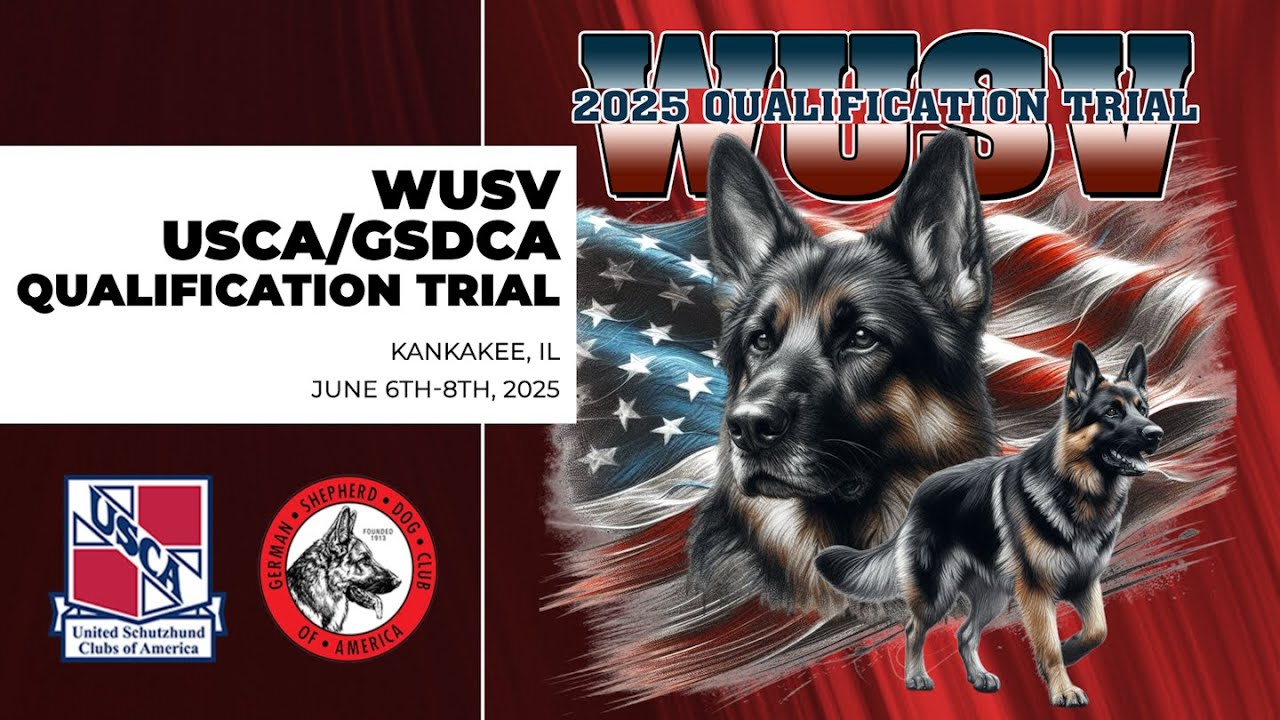 2025 USCA/GSDCA WUSV Qualifier - Sunday Obedience