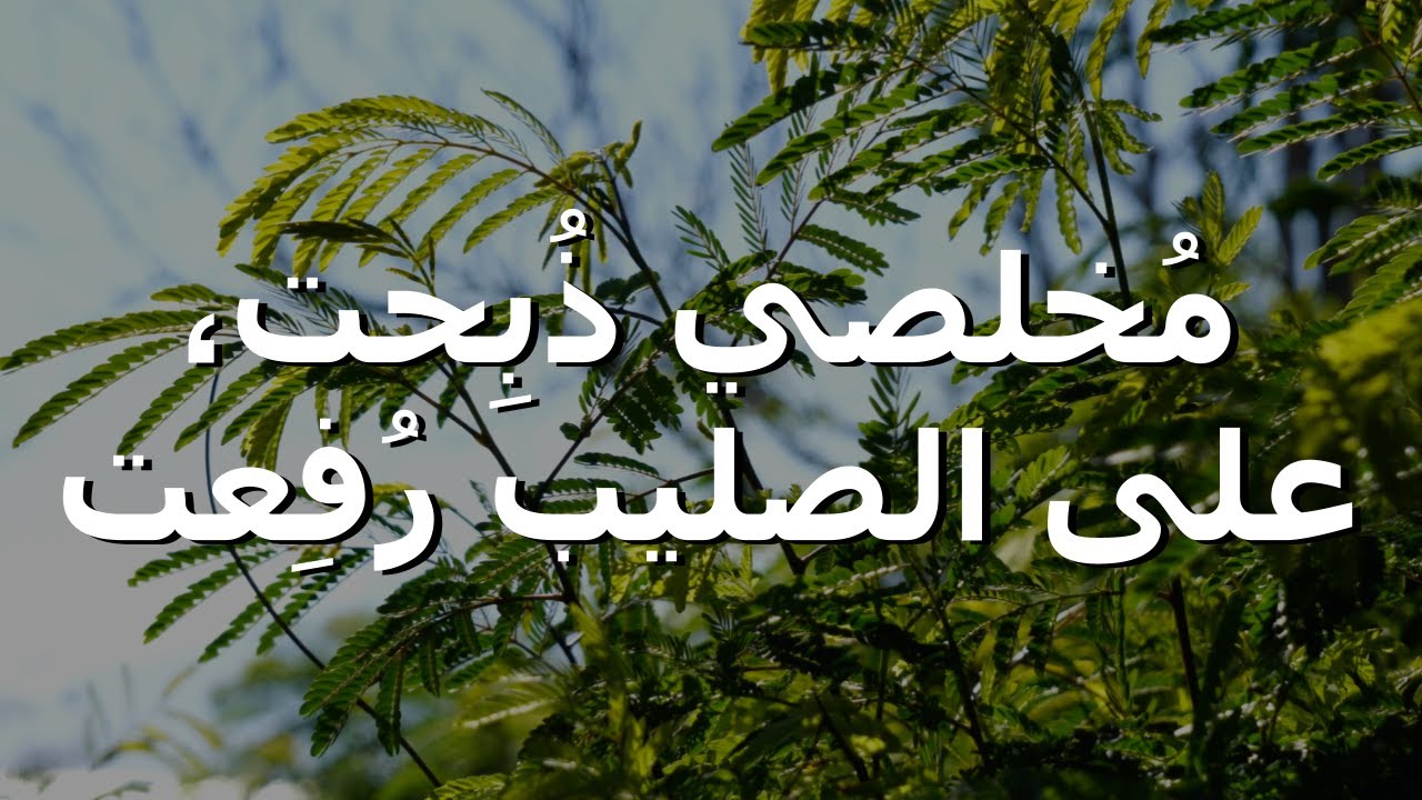 مخلصي ذبحت، على الصليب رفعت || ترنيمة بالكلمات My Savior was Sacrificed on the Cross was Raised