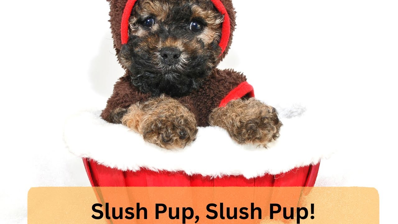 ❄️🐾 Slush Pup, Slush Pup! 🐾❄️
