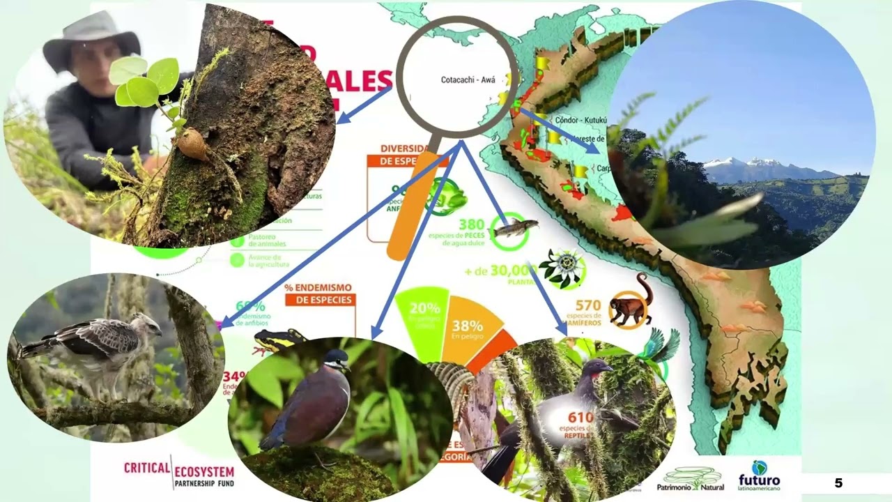 VOCES DE LA CONSERVACIÓN 2 Comunicación comunitaria y biodiversidad en el Ecuador: riqueza y amenaza