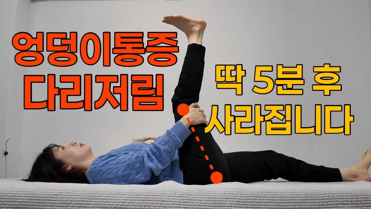 하루 5분 다리 저림, 엉덩이 통증 기적처럼 사라집니다| 이상근 스트레칭 #다리저림통증해결운동