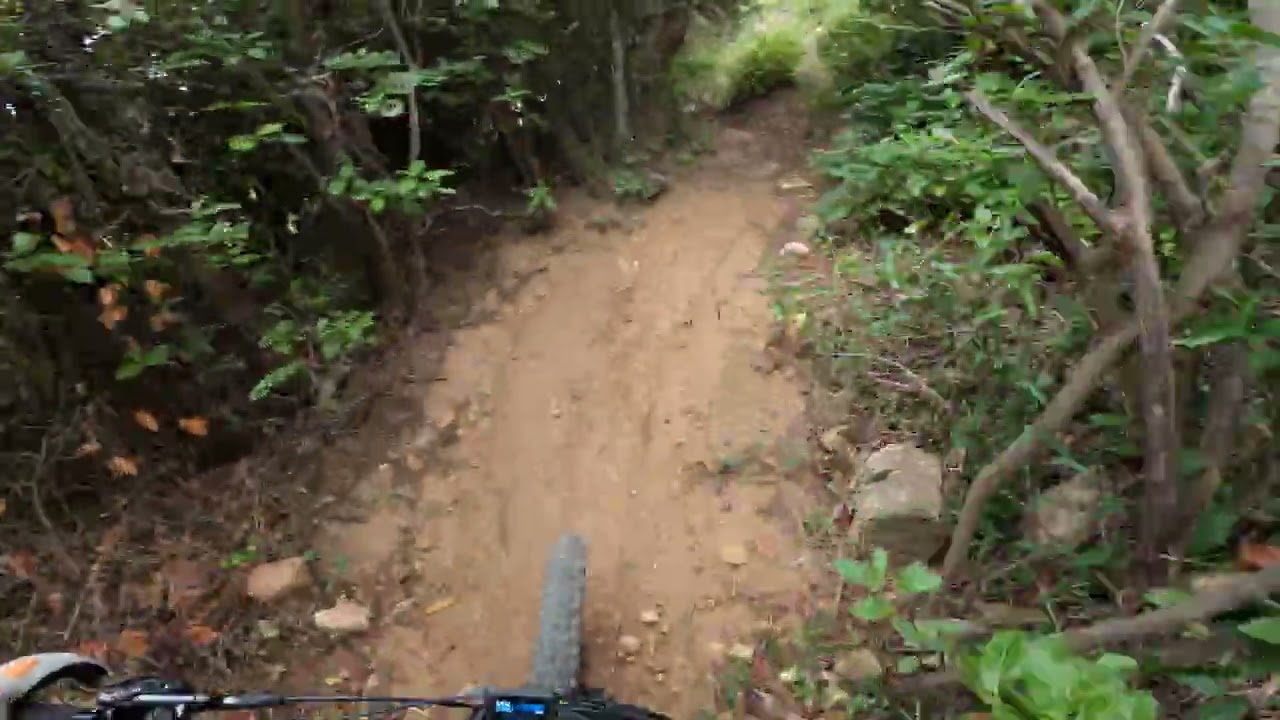 VTTAE enduro  Jacquot +timber full Vae