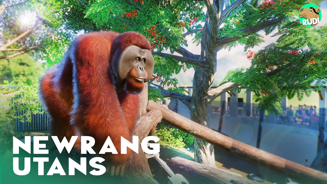 Orang Utan Habitat - A new Beginning - Planet Zoo Lets Play Franchise Mode