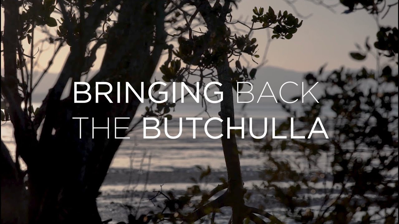BRINGING BACK THE BUTCHULLA
