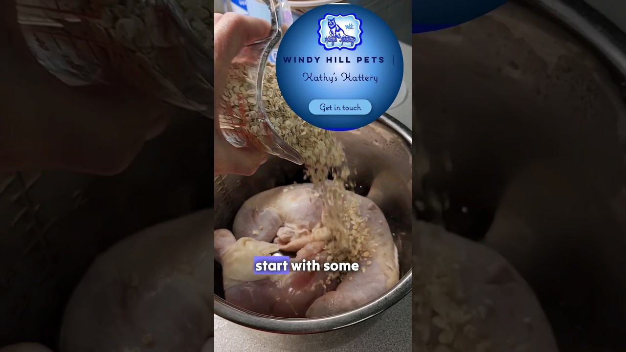 Easy DIY Cat Food Recipe 