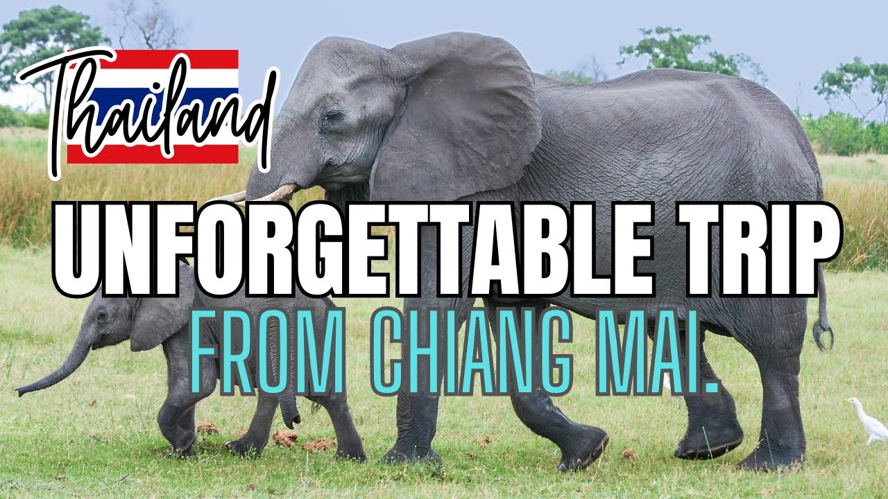 Day Trip From Chiang Mai | Visiting Doi Inthanon National Parks | Thailand | Elephant Sanctuary