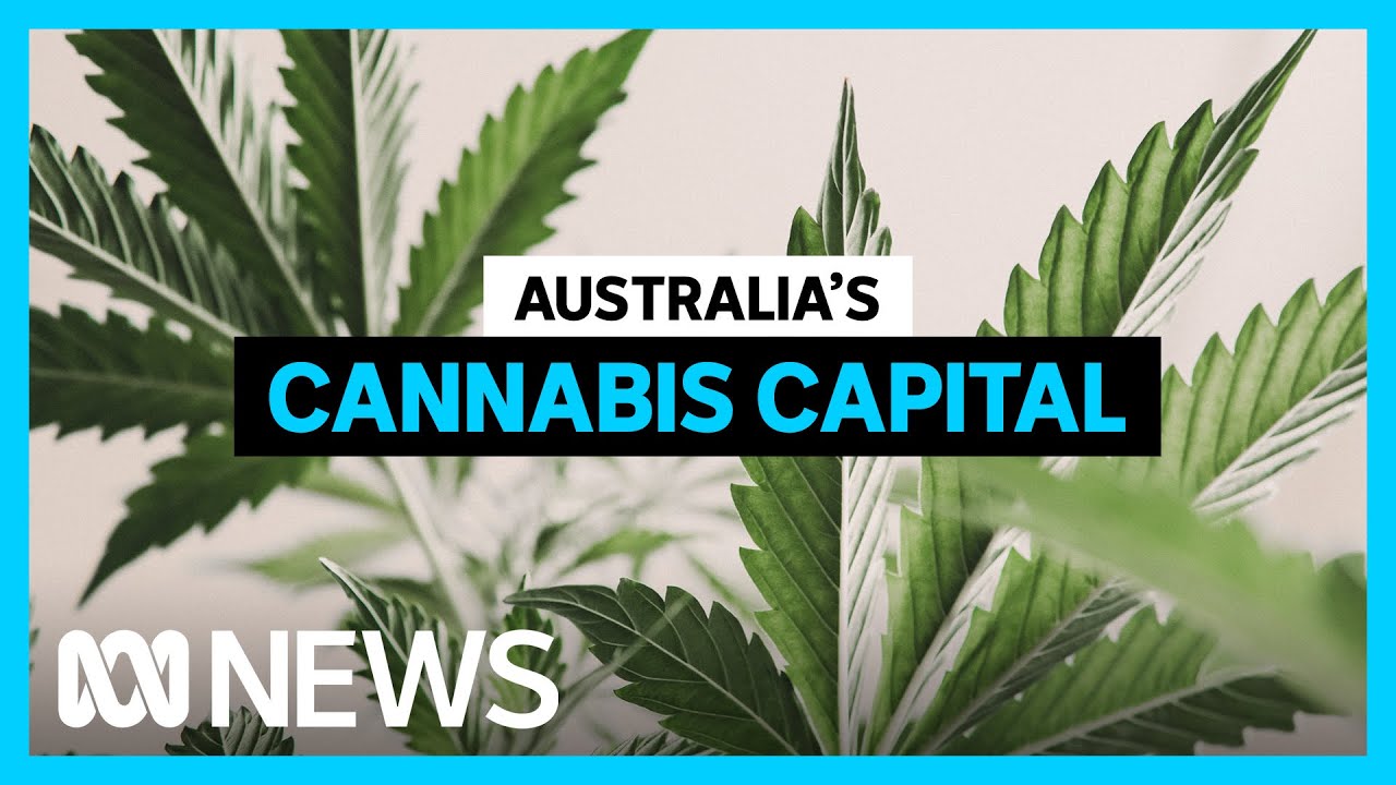 How Australia's most radical cannabis laws are coping two years later | ABC In-Depth