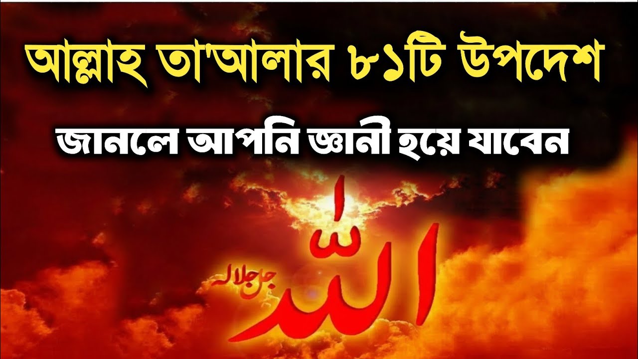 আল্লাহর ৮১টি উপদেশ! যা আপনাকে জ্ঞানী করে দেবে! || Islamic Story