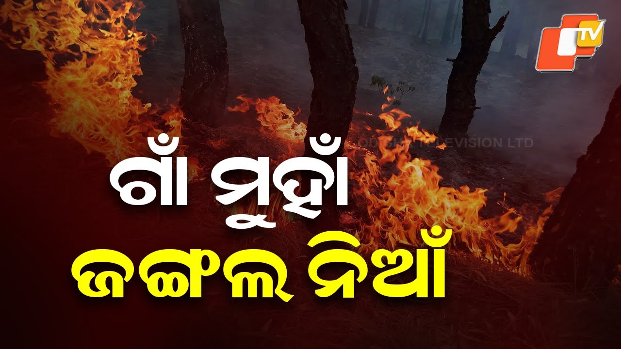 Forest Fire Rages in Keonjhar's Champua Woodlands, Threatens Nearby Village