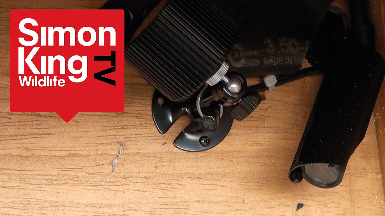 Peregrine Falcon - Setting up a Live Cam Nest Box