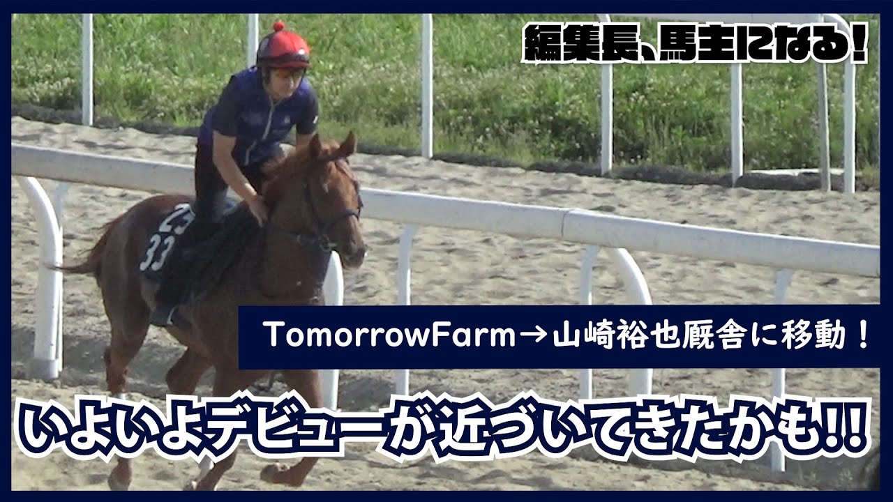 【編集長馬主になる！】#29　TomorrowFarmから山崎裕也厩舎に移動！川崎競馬の厩舎内に潜入させていただきました！