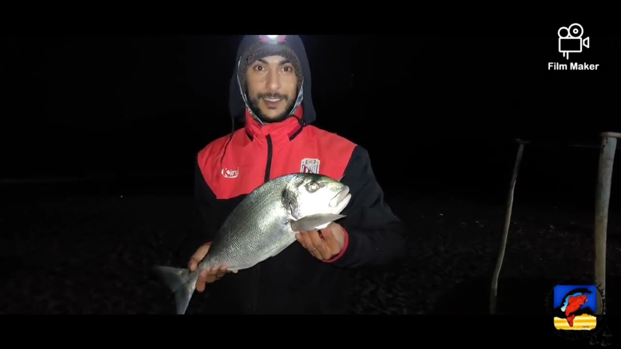 3,8kg أوشتام🎣 الحمد لله DAURADE XL