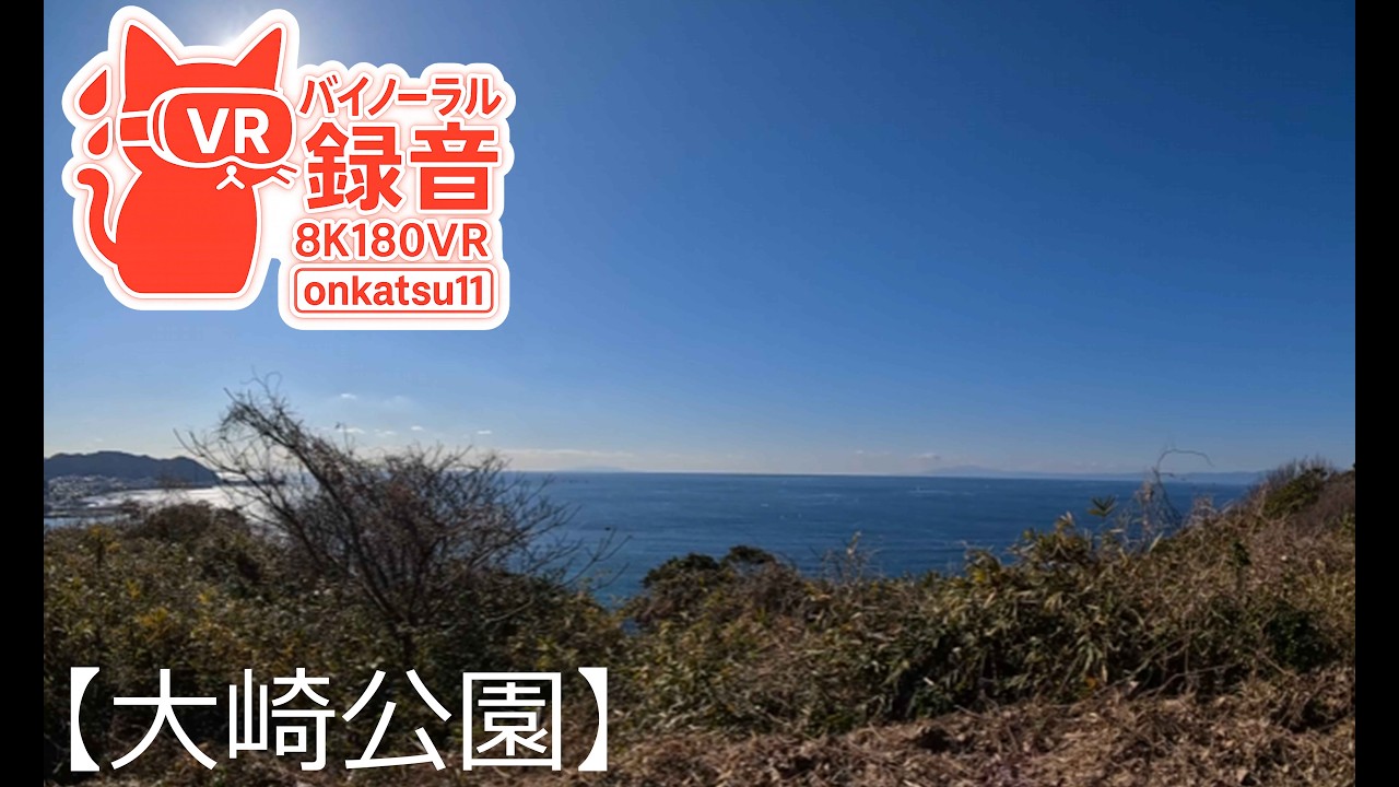 🌸 [Kawazu Cherry Blossoms in Full Bloom—Midwinter Walk at Ōsaki Park, Zushi(8K VR180)]Chapter Four‼